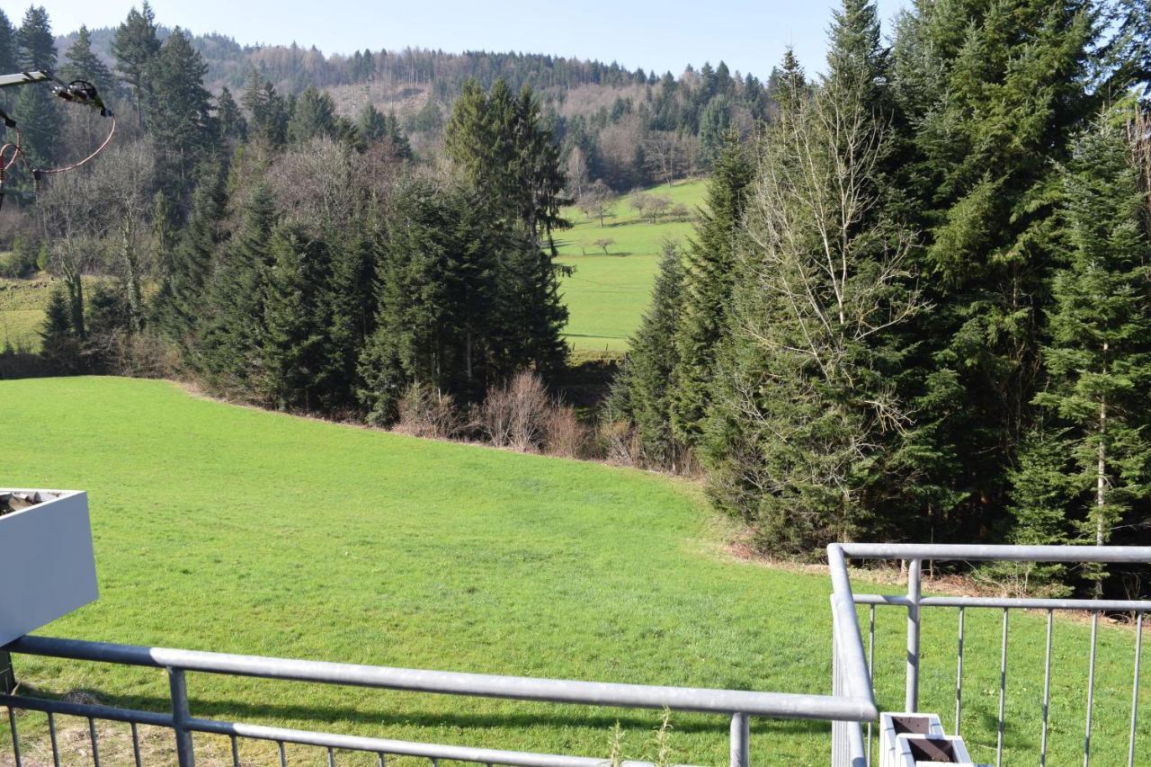 Ferienwohnung Im Dettenbachtal Waldkirch Zewnętrze zdjęcie
