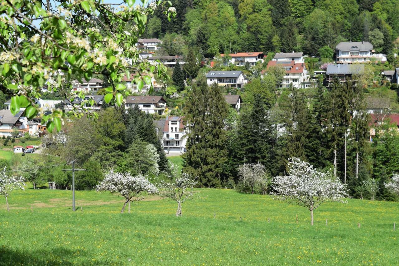 Ferienwohnung Im Dettenbachtal Waldkirch Zewnętrze zdjęcie
