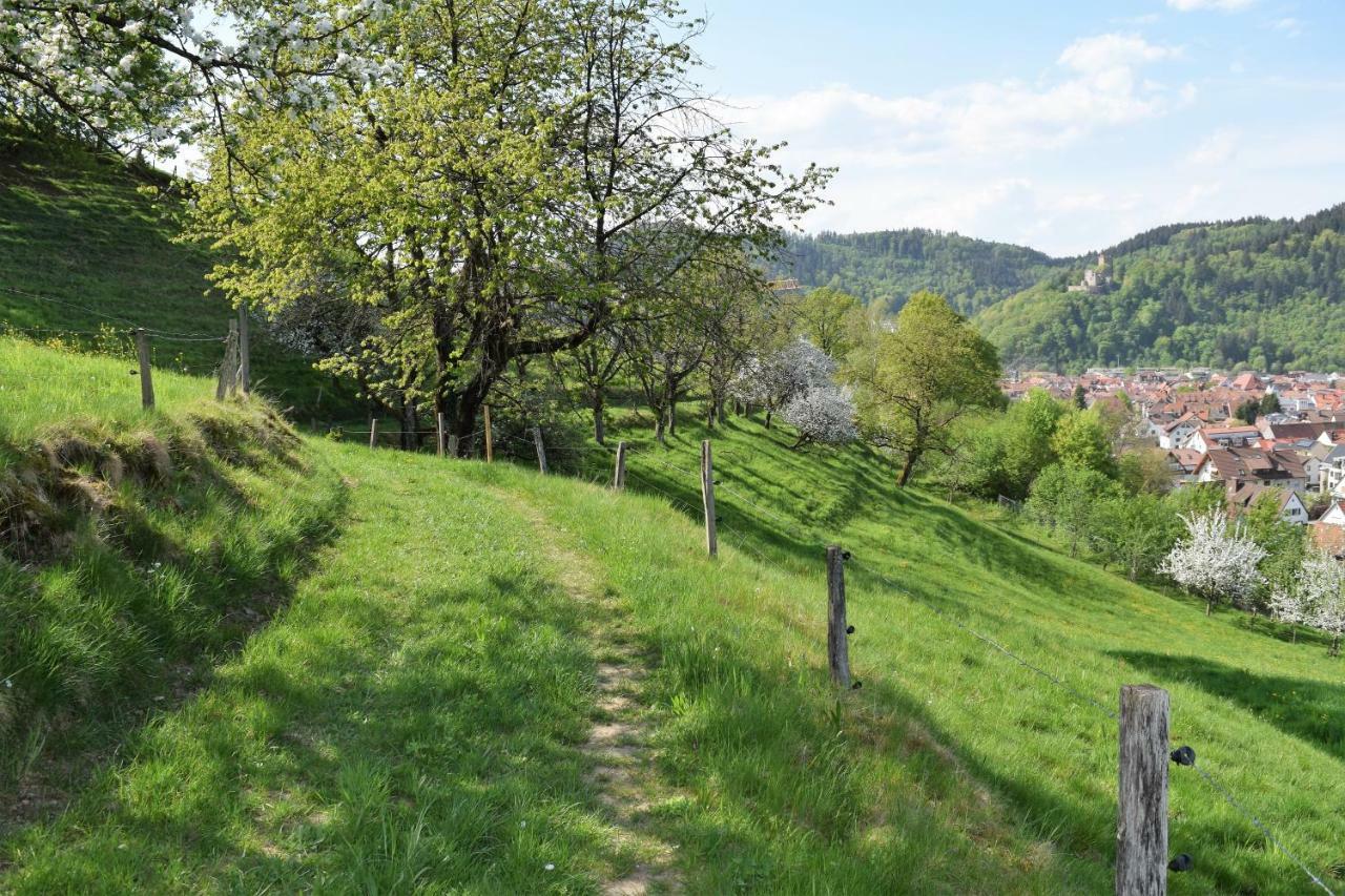 Ferienwohnung Im Dettenbachtal Waldkirch Zewnętrze zdjęcie