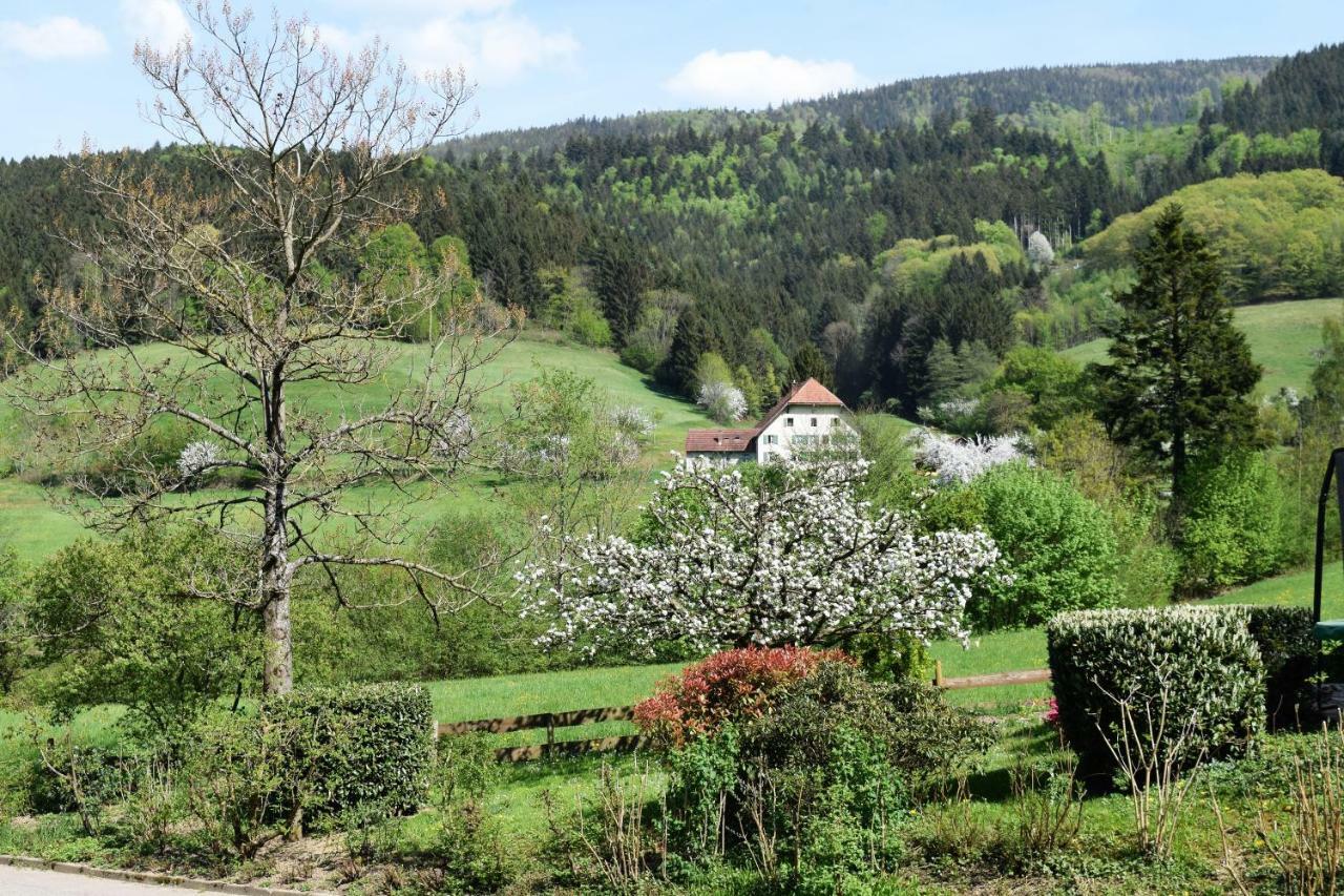 Ferienwohnung Im Dettenbachtal Waldkirch Zewnętrze zdjęcie
